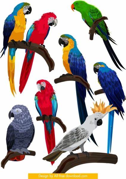 Naučný program s živými papoušky